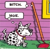 bitch hoe