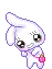 white bunny 