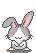 gray bunny 