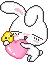 shy bunny 