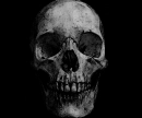 dark skull