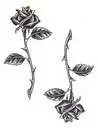 black roses
