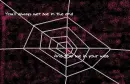 spider web