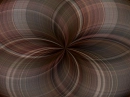 Brown Flower Background