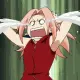 sakura