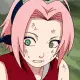 sakura