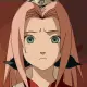 sakura