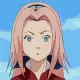 sakura