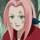 sakura