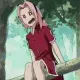 sakura