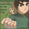 rock lee