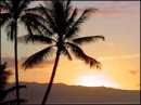 Tropical Beach