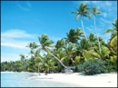 Tropical beach