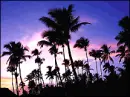 Tropical Sunset