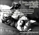 Love animals