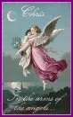 in the arms of the angels