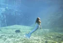 Mermaid in the Light