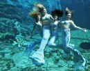 Mermaid Pals