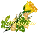Yahaira