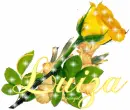 Luiza
