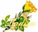 Yadira