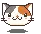 my cat