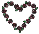Heart of roses