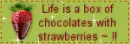 Life is a box of chocolate with strawberries