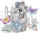 cute bear