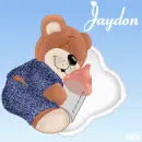 Teddy Bear with the name Jaydon