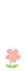 Little Flower GIF