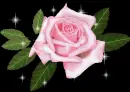 rosy1