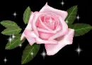 rosy2