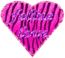 feline love