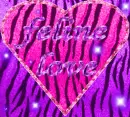 feline love