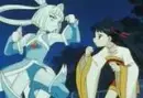 The Fight