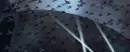 The Wall