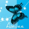 blue butterfly ashlee
