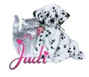 Judi
