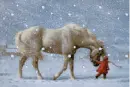 horse and child in snow