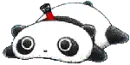 ninja tarepanda ^^
