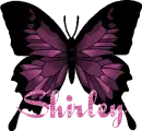 Shirley