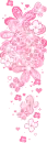 pink flowers