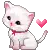 cute kitty