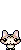 jumping cat 