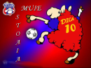 muie steaua