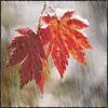 Autumn Leaves