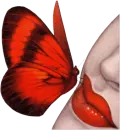 Butterfly Love