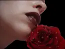 Girl and Rose