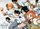 bleach